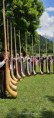 /album/kantonales-jodlerfest-an-der-lenk-2025/b62ce2b8-8d7a-447d-83e7-c838da3f5e08-jpg/